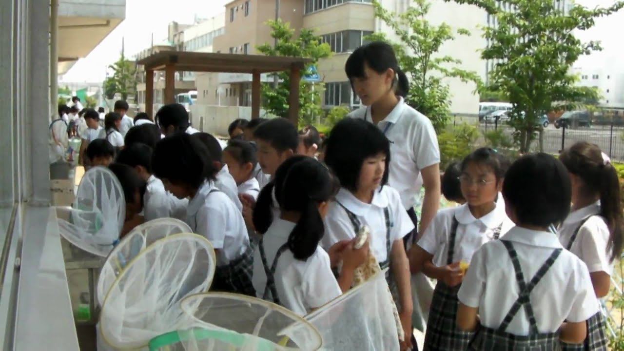 学校ふれあい体験 岐阜聖徳学園大学附属小学校 Youtube