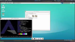 ArcoLinux : 801 installation of xfce and bspwm on ArcoLinuxD