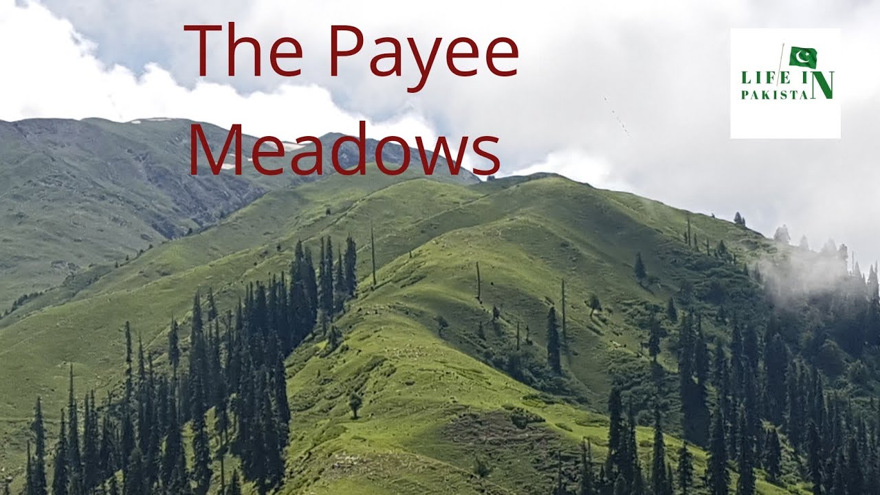 The Payee Meadows