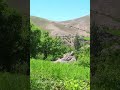 دهکده غاسور شهرستان دایکندی         