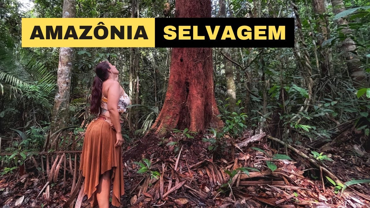 AMAZÔNIA Desconhecida - Entramos na floresta com CHUVA para aprender isso - Parte 2