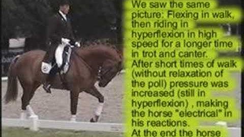 Introduction to the documentation on hyperflexion