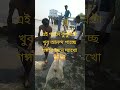 বাঁশবাড়িয়ার জলেশ্বরীর ঘাটের দৃশ্য 👌👌 #bansberia #ganga senanri