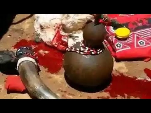 traditional healer (spiritual doctor) #nairobi #southafrica #kenyan