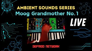Can This Moog Synthesizer Do Ambient Sounds?