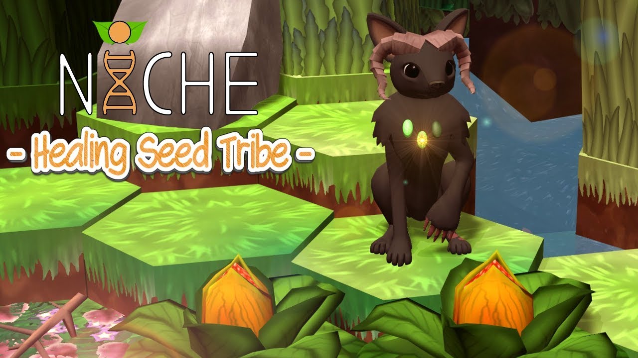 "First Look at the Release Preview" | Niche