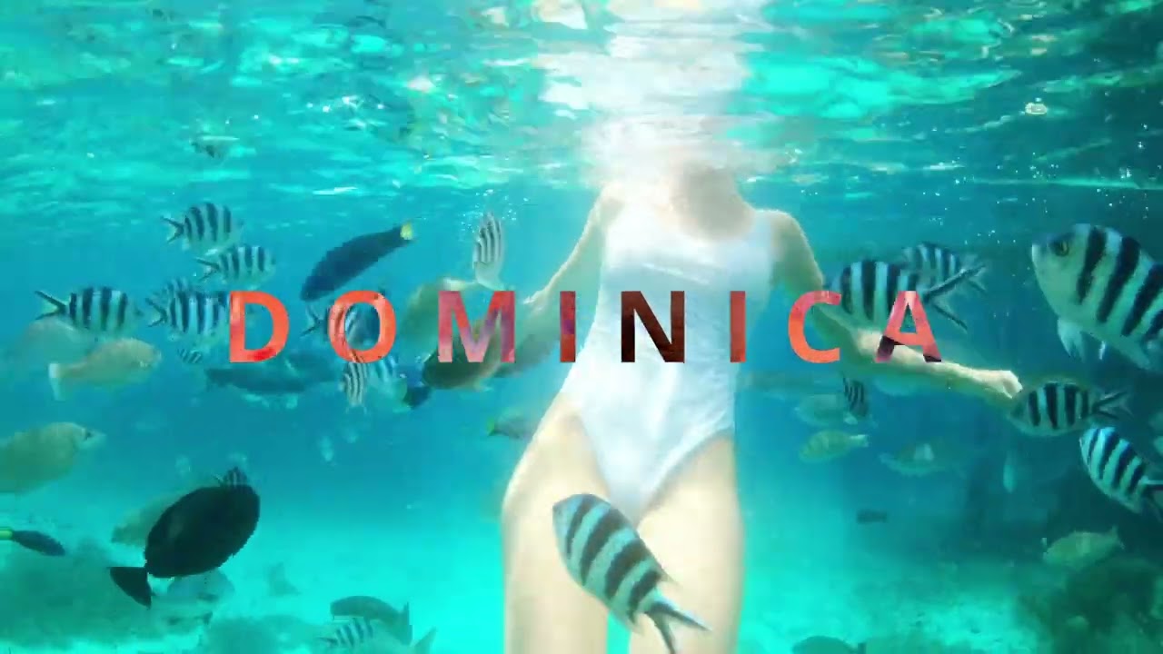 Westjet Comfort Goes a long Way Youtube Campaign