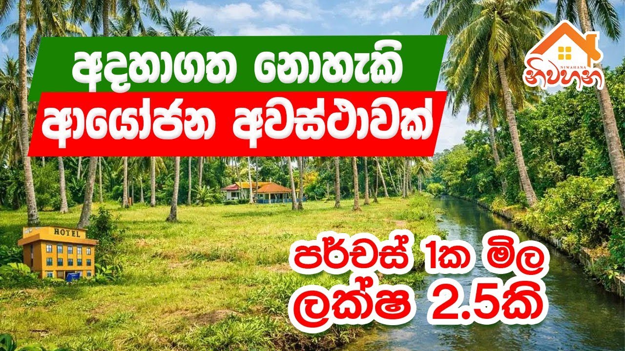 Tourist Hotel Investment Land | 30 Coconut Trees | Canal Facing Property