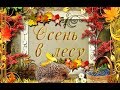 🍁🦊Осень в лесу🦊🍁 Осенний проект в Proshow Producer