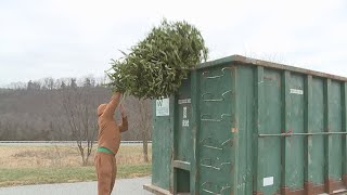 York County Solid Waste Authority begins 37th annual Christmas Tree Recycling Program