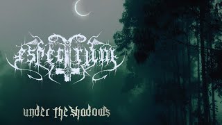 Espectrum - Under the Shadows
