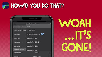 Export Transparent Background Videos!