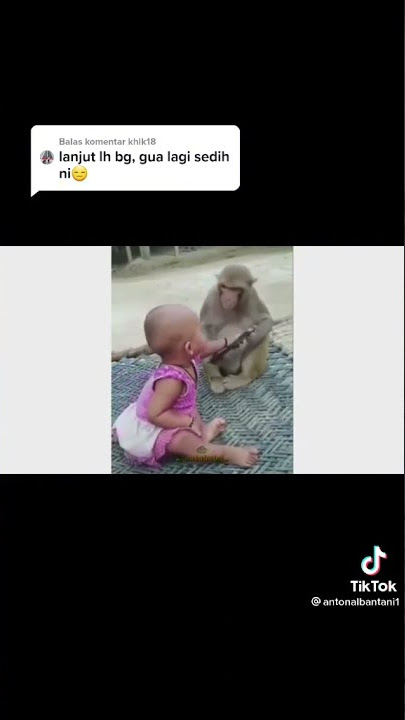 kumpulan Vidio lucu hewan kata baba