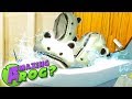 CAN YOU FLUSH A FROG'S SKULL?  - Amazing Frog Gameplay - Amazing Frog Update