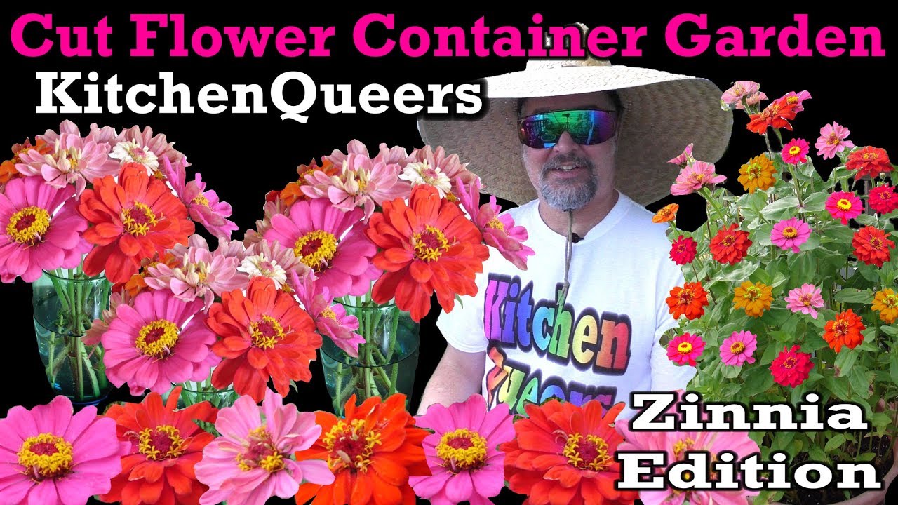 Kitchen Queers Cut Flower Container Garden Tutorial - Zinnia