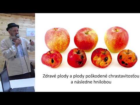 Video: Luskáčik Tmavý Je Nepriateľom Zeleniny