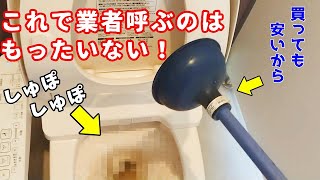 【トイレ詰まり修理】ラバーカップの使い方「閲覧注意」