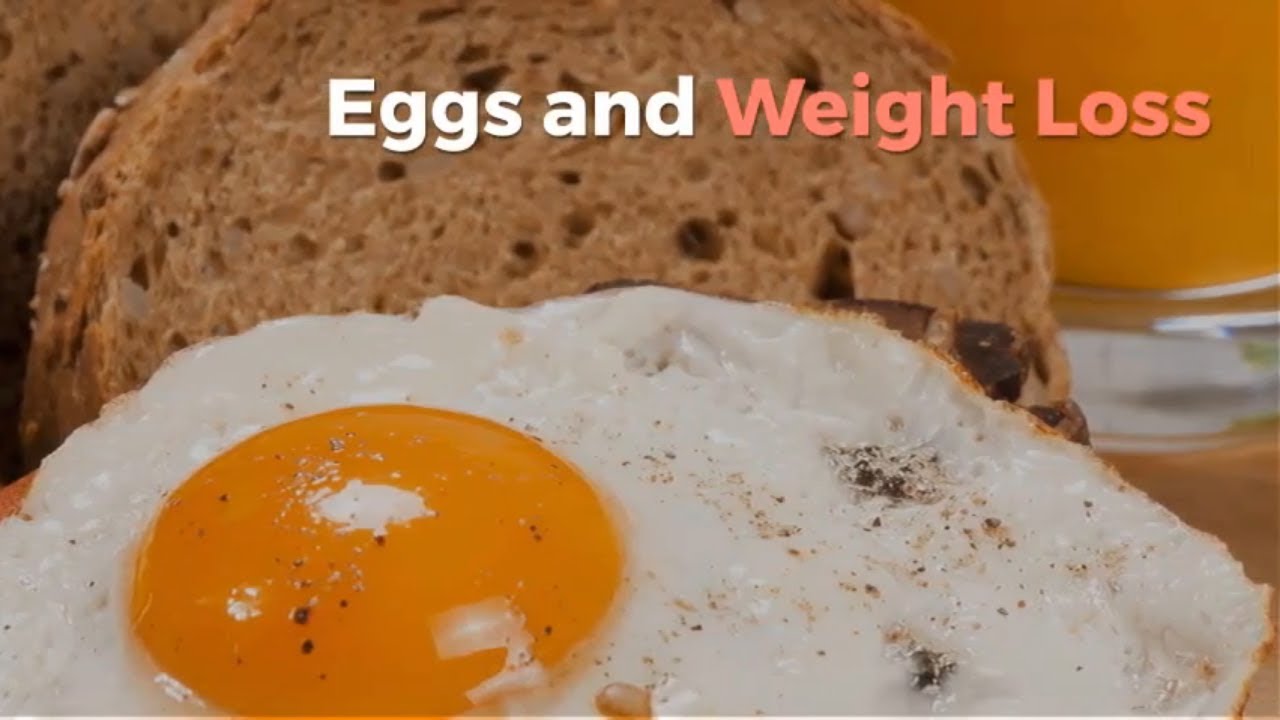 Eggs and Weight Loss Best weight loss program YouTube