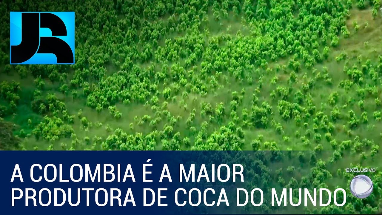 Exército quer combater o plantio de cocaína no lado brasileiro da