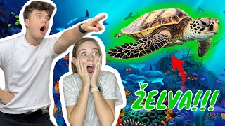 Jak jsme potkali v moři ŽELVY🐢??!!! + Nebezpečná DŽUNGLE | MEXIKO🇲🇽 #2