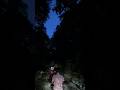 Rath me jungle me Gaye ham
