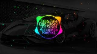 Talıb Tale - Dağ çiçeyi (Dj Seym Acapella Remix) Resimi