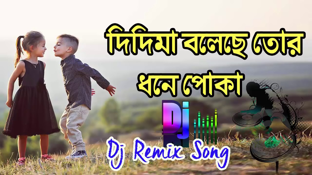 Purulia New DJ songs 2017   Didi MA Boleche Tor Dhone Poka  Bengali DJ Song
