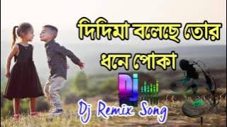 Purulia New DJ songs 2017 - Didi MA Boleche Tor Dhone Poka | Bengali DJ Song