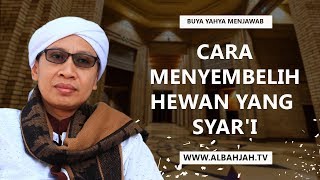 Penyembelihan Ayam Sesuai Tata Cara Islam. 