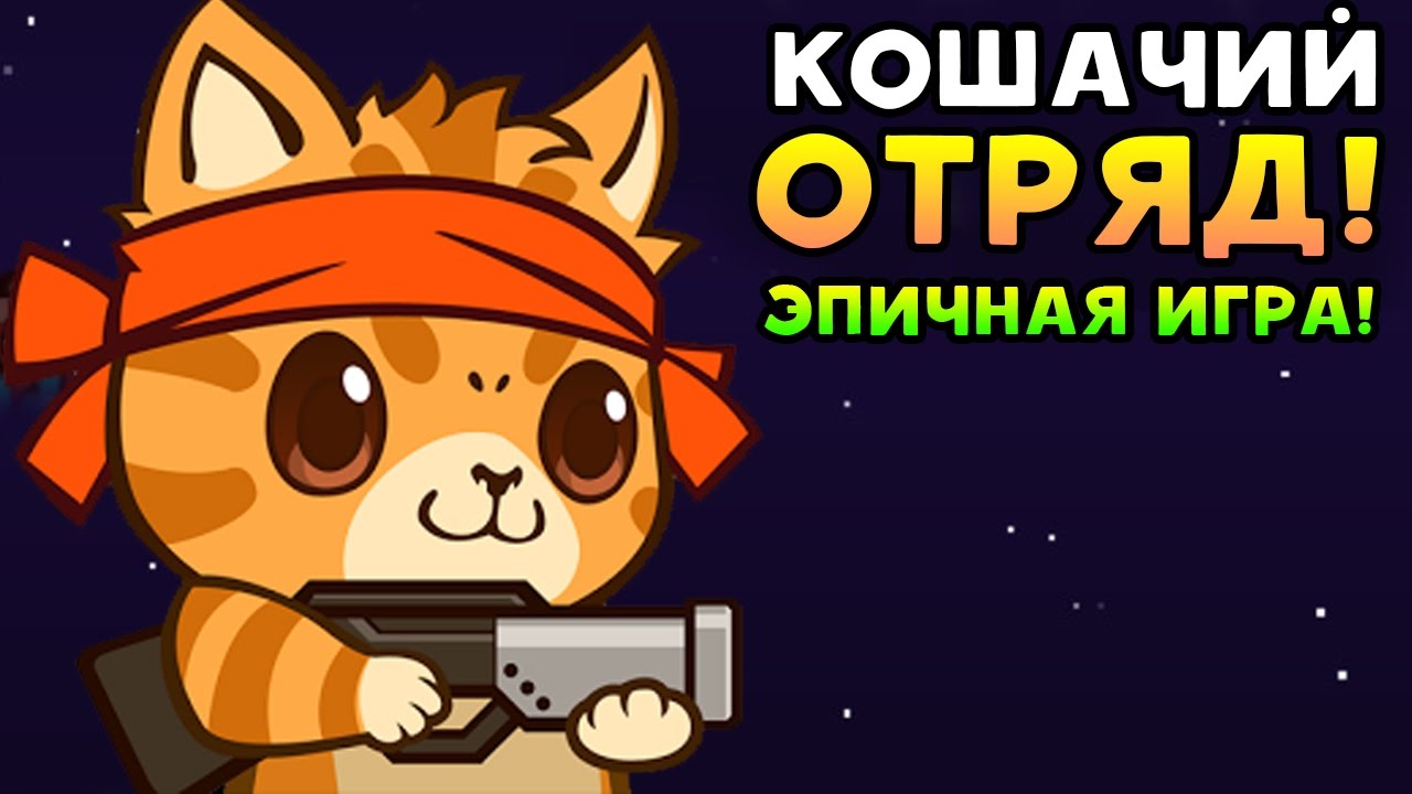 убойный отряд котят. кошачий отряд.