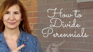How to divide perennials