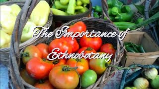 The Importance of Ethnobotany With Karen Haynes