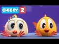 Where's Chicky? SEASON 2 | CHICKY AND BEKKY | Chicky Cartoon in English for Kids
