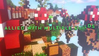 TheFroglets - Guild Trailer