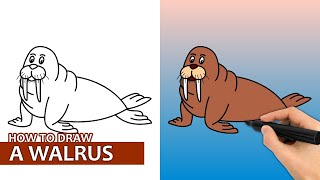 How To Draw A Walrus (Easy Drawing Tutorial)