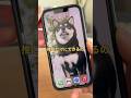 \ アプリ無し！？/ ホーム画面 推しの写真だけ #iphone #アイフォン #iphone便利機能 #iphone裏技 #iPhone便利術 #iphone裏ワザ #推し活