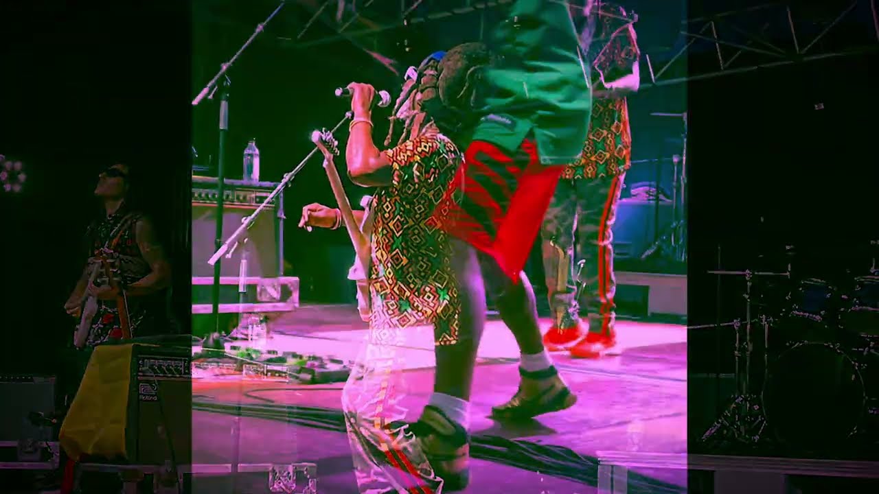 🚦Steel Pulse✨ LIVE