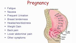 Human Growth and Developmental Psychology: Prenatal Development and Birth