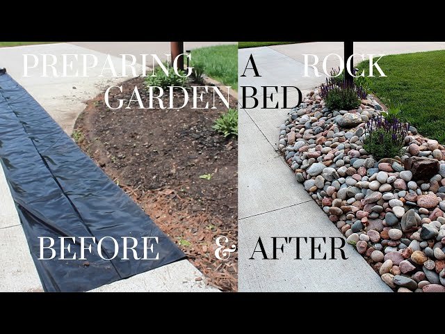 Caring For A Rock Garden Bed – How To Grow A Rock Garden