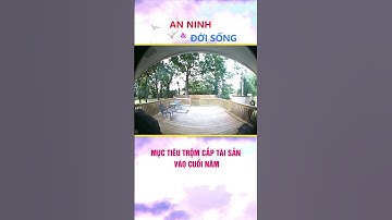 Mục Tiêu Trộm Cắp Tài Sản Vào Cuối Năm #anninhvadoisong #tromcaptaisan #canhbao #phongngua #tet
