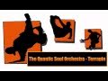 The Quantic Soul Orchestra - Terrapin