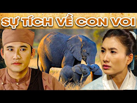 Video SỰ TÍCH VỀ CON VOI | SỰ TÍCH VIỆT NAM MỚI NHẤT 2022 |... - youtube
