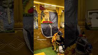 Jay Shri Shyam Anushka Gupta official YouTube videos 🌹🥹😍