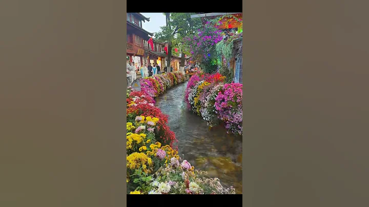 Stunning blooms neatly tucked in Lijiang Ancient Town, southwest China's Yunnan Province - DayDayNews