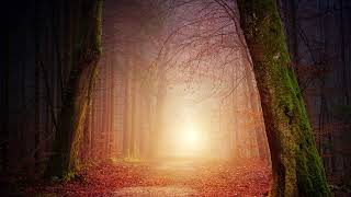 Celtic Harp -  Magic Forest