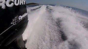 Mercury Optimax 115hp Top speed