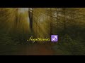 Sagittarius ♐️: week ahead 11/24-30