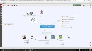Concept Mapping with Web 2.0 Tools