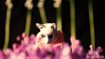 Build It Up (Experimental OC MAP) - Part 10