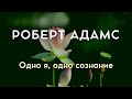 Одно я, одно сознание - Роберт Адамс [Nikosho]